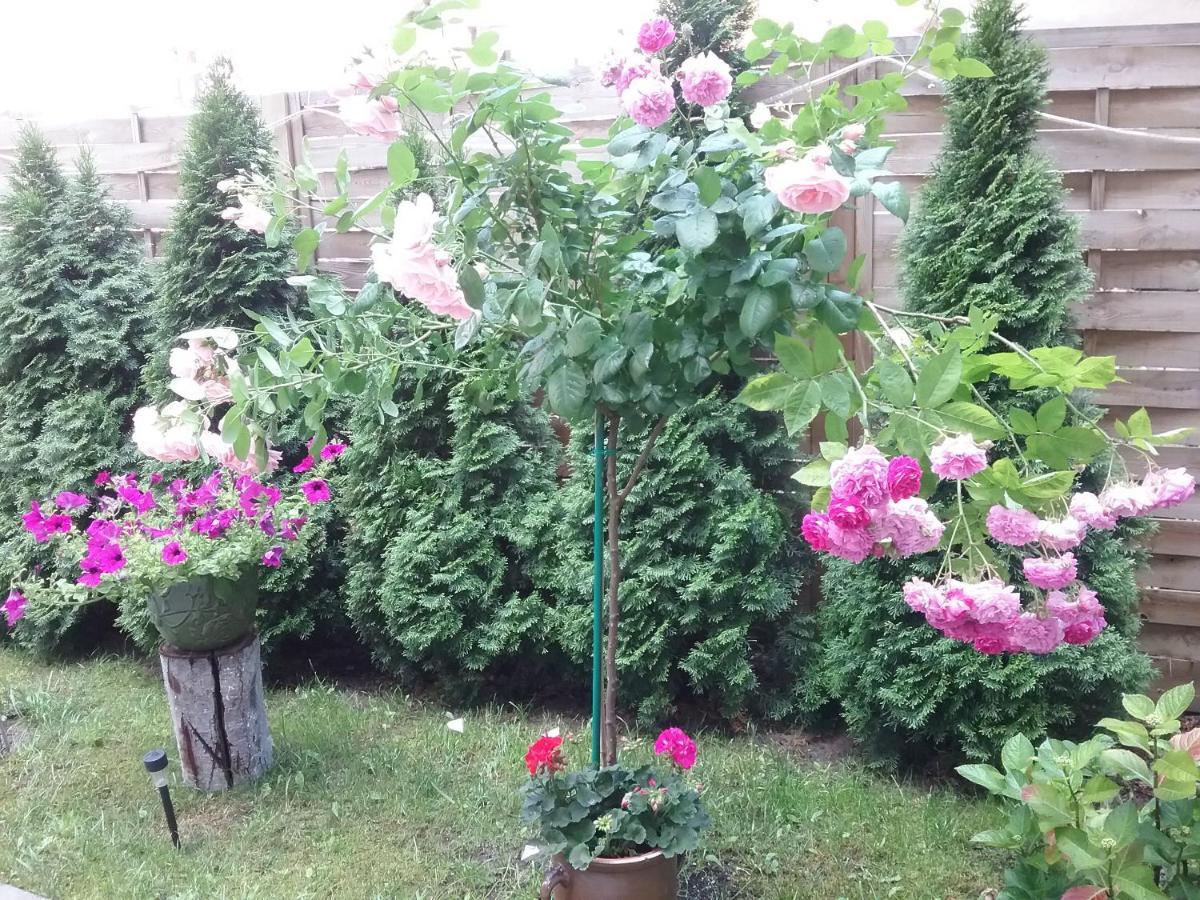 Stary Toruń Apartament מראה חיצוני תמונה